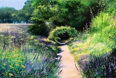 Lavender Walk by Heather Howe