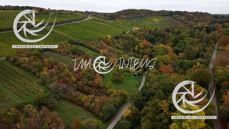 Autumn Over Franconian Vineyards