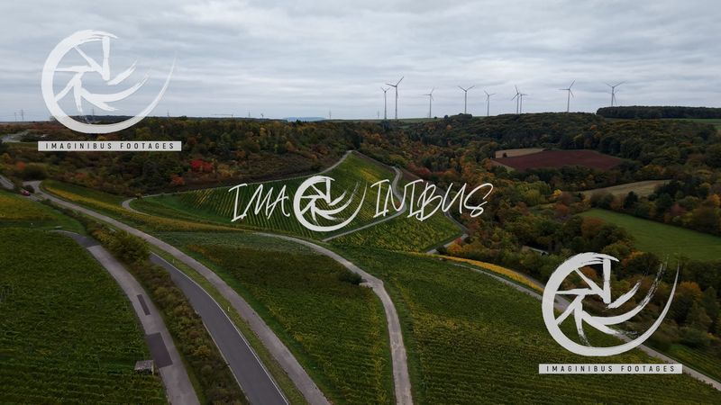 Whispers of Autumn Hills