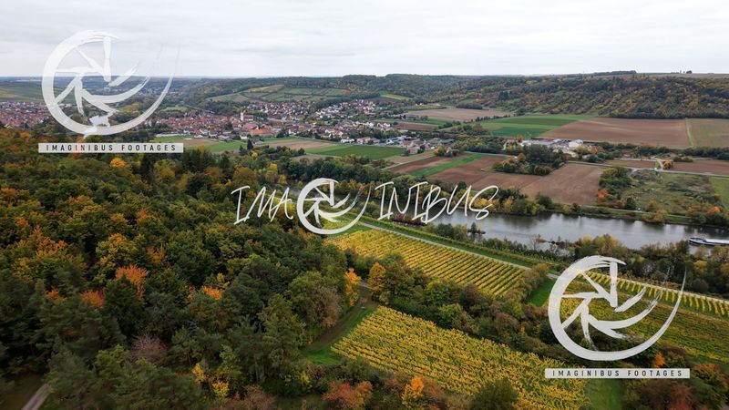 Golden Trails of the Vineyards