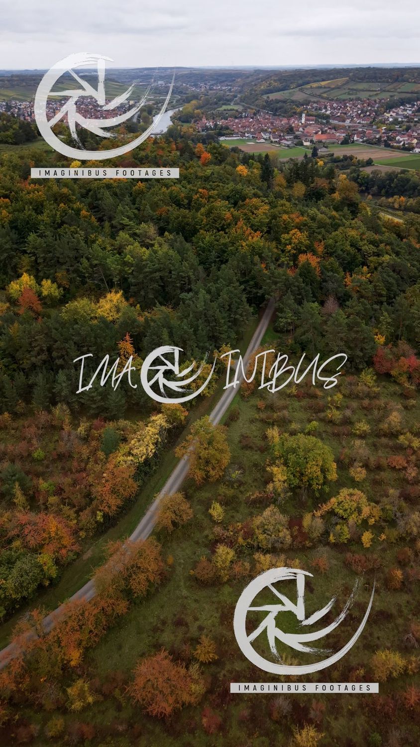 Misty Harvest Morning