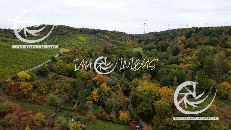 Colors of the Harvest Hills