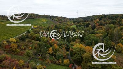 Colors of the Harvest Hills Colors of the Harvest Hills