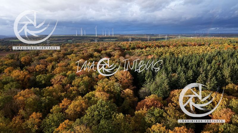 Whispers of Autumn Sky