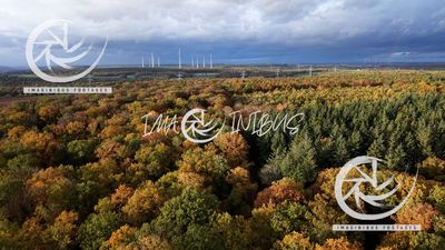 Whispers of Autumn Sky