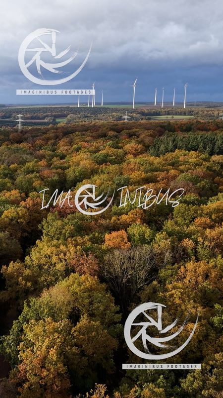 Echoes of the Changing Season