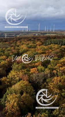 Echoes of the Changing Season