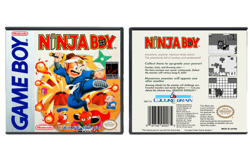 Ninja Boy