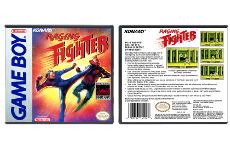 Raging Fighter