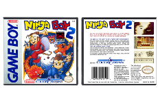 Ninja Boy 2