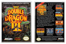 Double Dragon III: The Sacred Stones