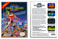 Double Dragon II: The Revenge