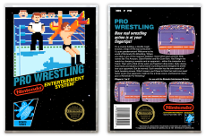 Pro Wrestling