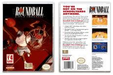 Roundball: 2 on 2 Challenge