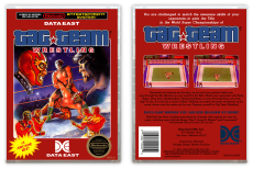 Tag Team Wrestling