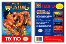 Tecmo World Wrestling