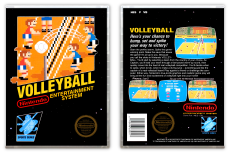 Volleyball