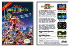 Double Dragon II: The Revenge