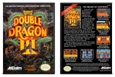Double Dragon III: The Sacred Stones