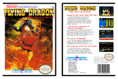 Flying Dragon: The Secret Scroll