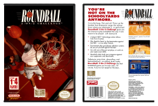 Roundball: 2 on 2 Challenge