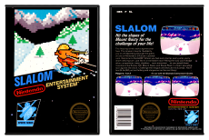 Slalom