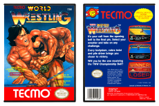 Tecmo World Wrestling
