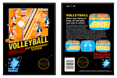 Volleyball
