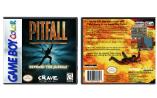Pitfall: Beyond the Jungle