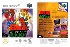 Big Mountain 2000