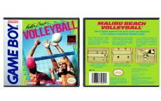 Malibu Beach Volleyball
