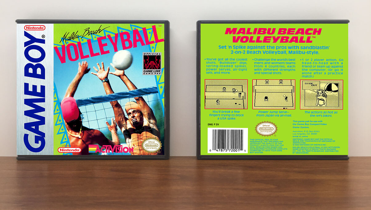 Malibu Beach Volleyball