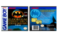 Batman: The Video Game