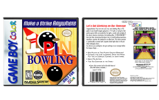 10 Pin Bowling