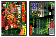 Donkey Kong Country
