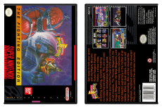 Mighty Morphin Power Rangers: The Fighting Edition