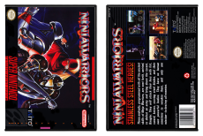 Ninja Warriors, The