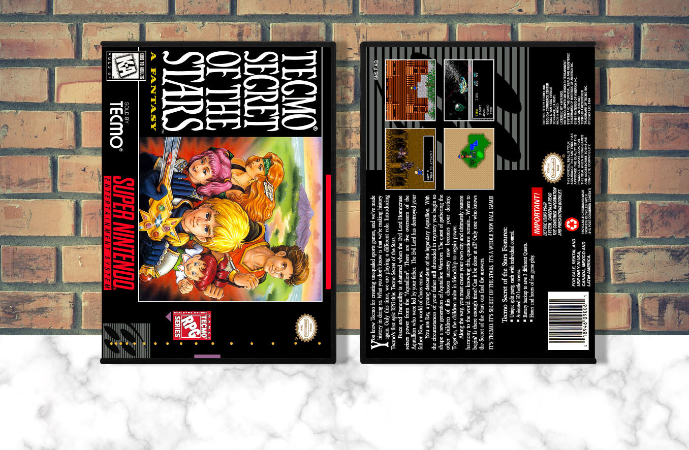 Secret of the Stars, Case Color: DARK GREY (OEM DS CASE COLOR)