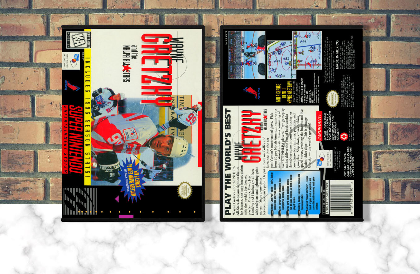 Wayne Gretzky and the NHLPA All-Stars, Case Color: DARK GREY (OEM DS CASE COLOR)