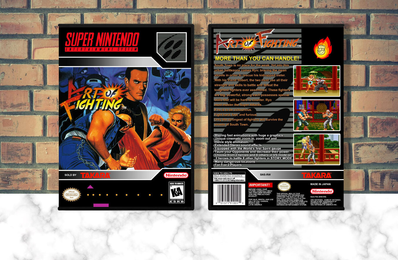 Art of Fighting, Case Color: DARK GREY (OEM DS CASE COLOR)