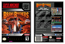 Brawl Brothers
