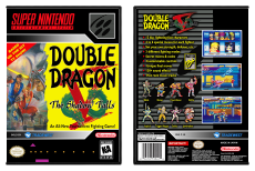 Double Dragon V: The Shadow Falls