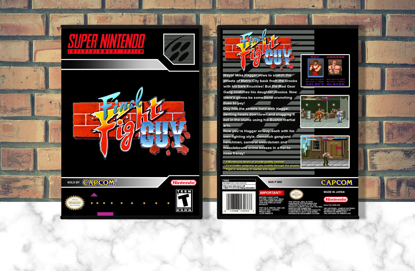 Final Fight Guy, Case Color: DARK GREY (OEM DS CASE COLOR)