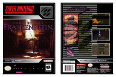 Mary Shelley's Frankenstein
