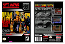 Ninja Gaiden Trilogy