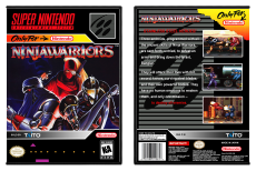 Ninja Warriors, The