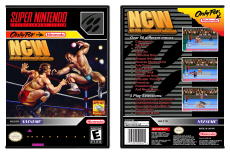 Natsume Championship Wrestling