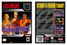 WCW SuperBrawl Wrestling