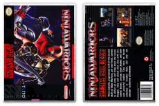 Ninja Warriors, The