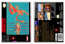 Prince of Persia 2: The Shadow and the Flame